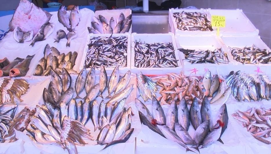 Karadeniz’de hamsi göründü