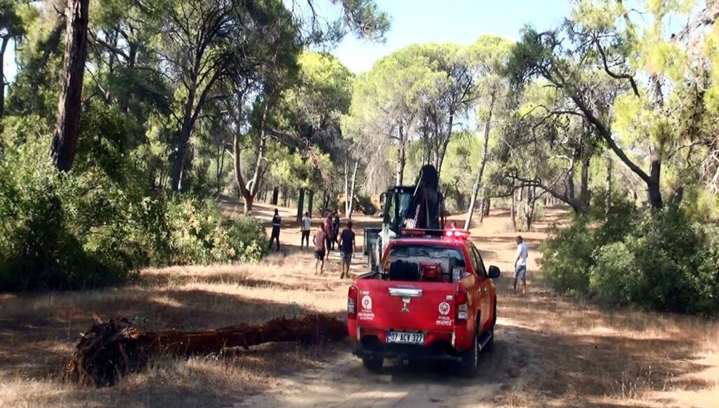 Manavgat’ta ormanı yakmaya çalışırken yakalandı