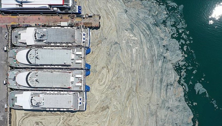 Marmara Denizi’nde 450 farklı nokta müsilaj incelemesi: Bu seneki manzarayı arayacağız