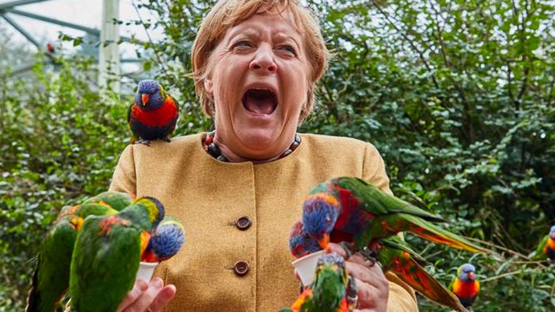 Merkel’den veda turları: Kuş parkını ziyaret etti; papağanlarla poz verdi