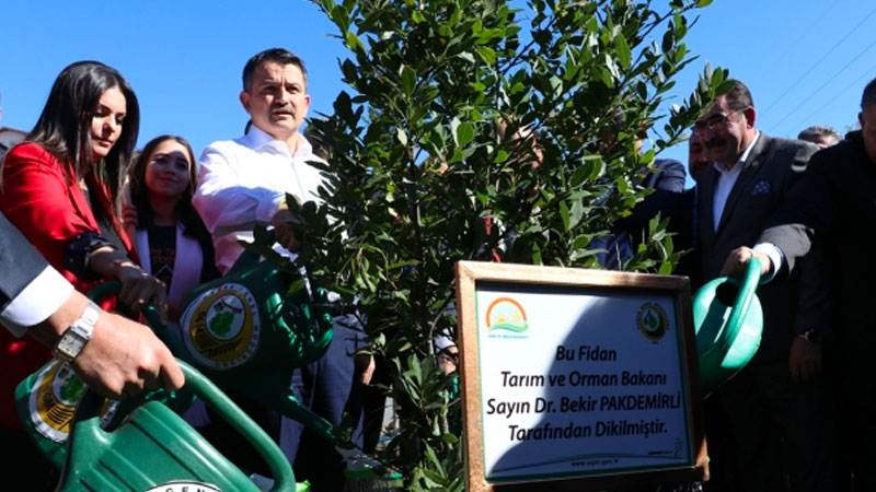 Orman Bakanı: Türkiye’de 252 milyon fidan dikerek geleceğe nefes oluyoruz
