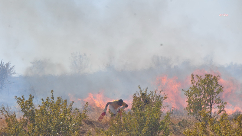 Orman Genel Müdürlüğü: Bugün çıkan 8 orman yangınının 7’sini kontrol altına aldık
