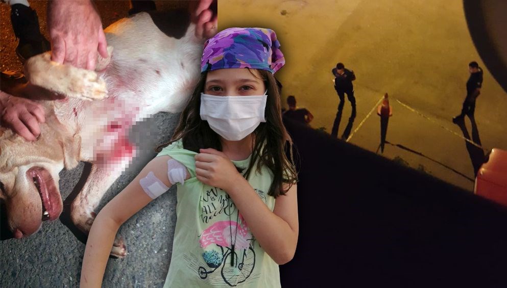 Pendik’te köpeğe mermi yağdırdı, seken mermi 10 yaşındaki çocuğa isabet etti