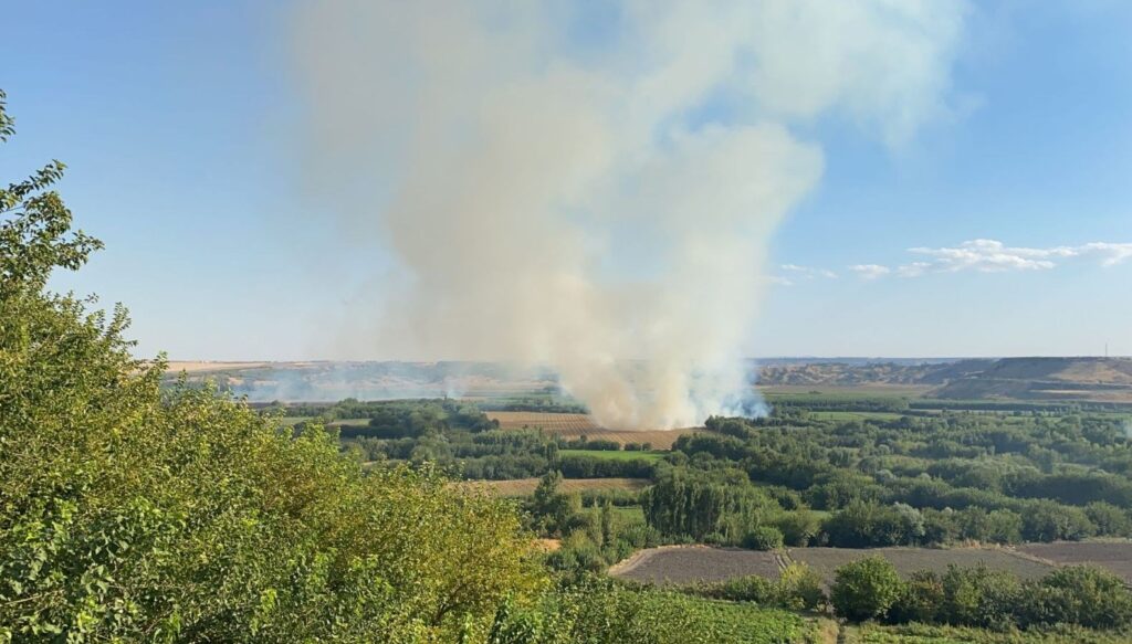 UNESCO Dünya Mirası Listesi’nde yer alan Diyarbakır’daki 7 bin yıllık Hevsel Bahçeleri’nde yangın