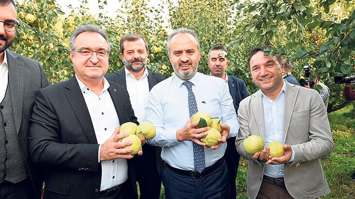 Armut hasadında pestisit uyarısı