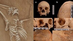 Dünyanın en eski cinayet vakası çözüldü!