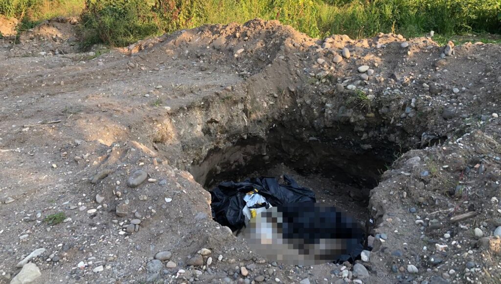 Giresun’da çukurda 10 ölü köpek bulundu