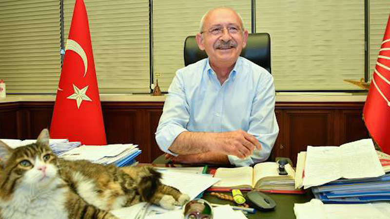 Kılıçdaroğlu’ndan 4 Ekim Hayvanları Koruma Günü’nden kedili paylaşım