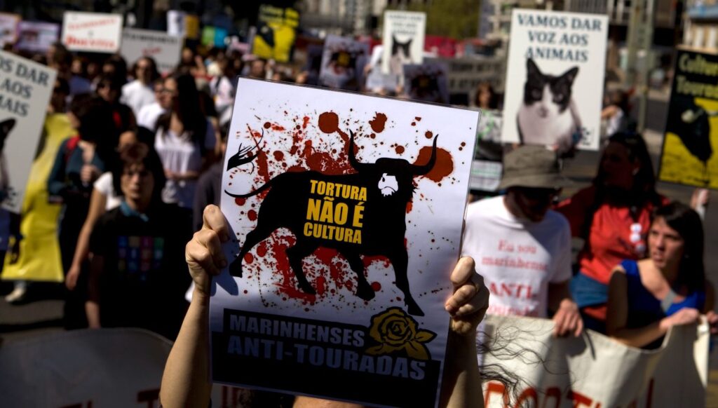 Portekiz’de 16 yaş altına ‘boğa güreşi’ yasağı