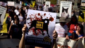 Portekiz’de 16 yaş altına ‘boğa güreşi’ yasağı