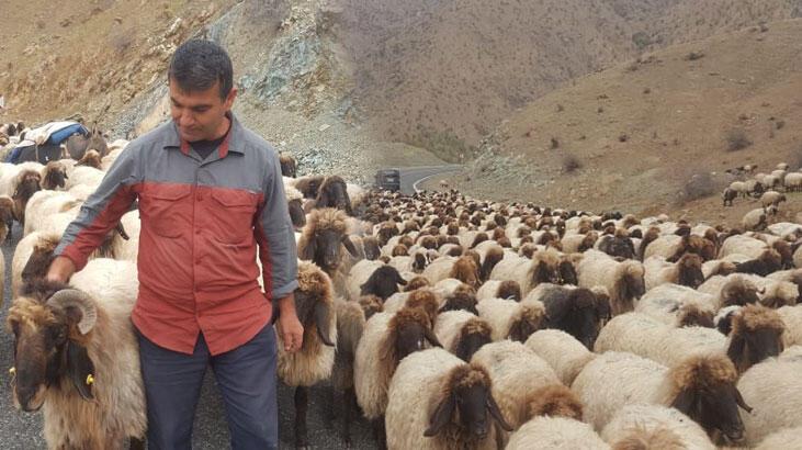 Ağrı, Muş ve Bitlis! Göçerlerin zorlu yolculuğu başladı