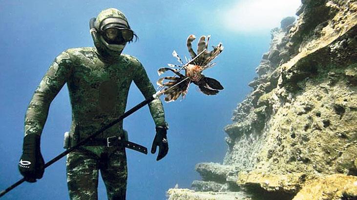 Aslan balığı menüye girdi