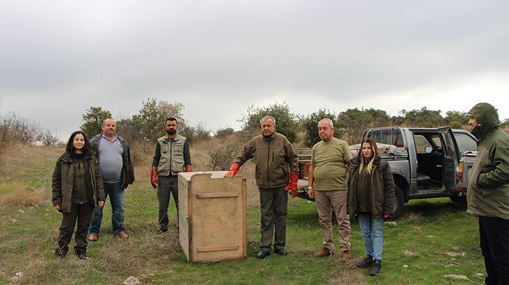 Balıkesir’de arazide bulundu, hemen tedaviye alındı