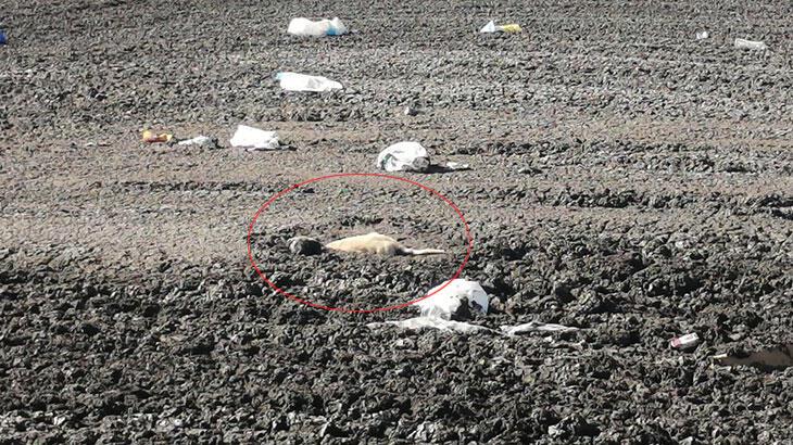 Bataklığa saplanan köpek yavrusunu itfaiye kurtardı