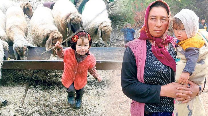 Çadıra 7 kilometre uzaklıkta bulundu