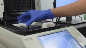 Detaylar ilk kez ortaya çıktı!  Doğruluk oranı yüzde 98