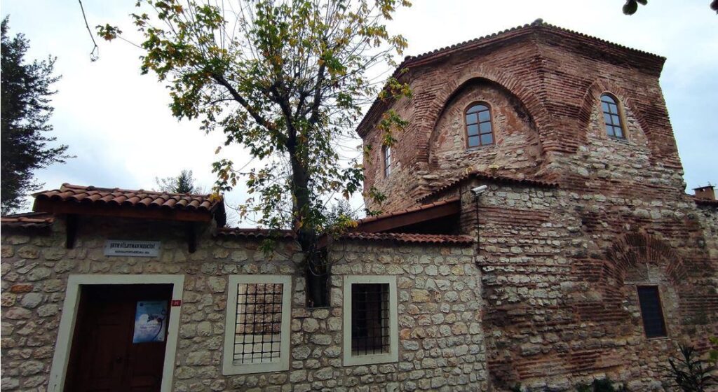 Duvardaki ağacın sırrı! Görenler hayretle bakıyor…