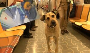 İBB Sözcüsü Ongun paylaştı: Boji’ye kumpas!