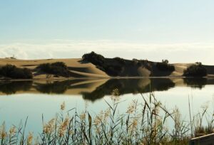 İnanılmaz ama bu da oldu! Turistlerin cinsel hayatı doğaya zarar veriyor