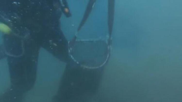 Kaçak avcılar Boğaz’da avladıkları 2 ton midyeyi deniz dibine saklamış