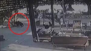 Kendisine havlayan köpeğe ateş açıp 3 kadını yaraladığı anlar kamerada