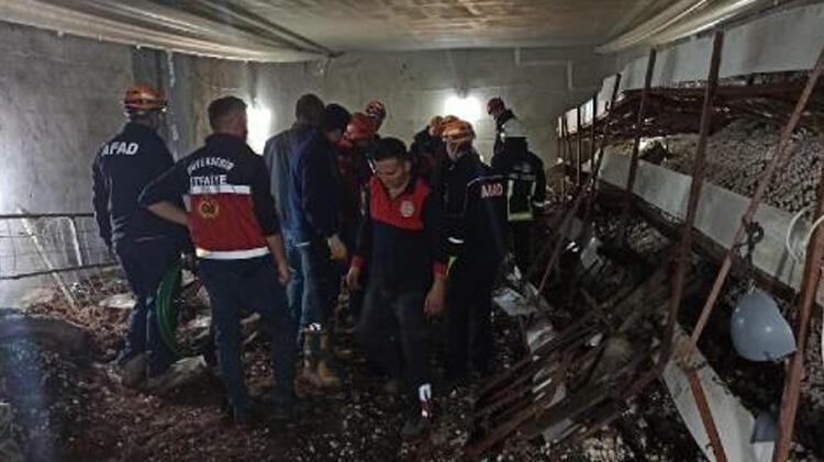 Mantar üretim tesisinde çelik raflar devrildi: 5 yaralı
