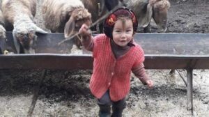 Müslüme sır oldu, jandarma 100’e yakın kişinin ifadesini aldı