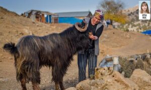 Nurhaklılar, ‘Bizi madene teslim etmeyin’