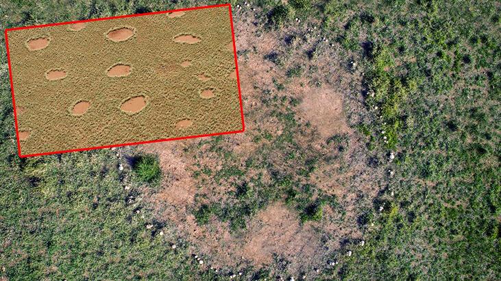 Sırrı çözülemiyor! İki yerde görüldü, ‘peri çemberleri’ daha da yayılabilir…