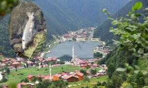 Uzungöl’de balık ölümleri tedirginliği