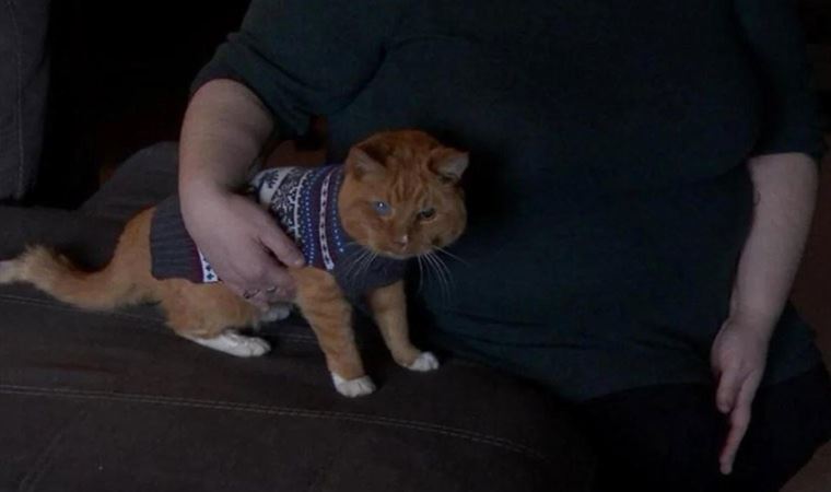 ‘Yaşayan en yaşlı kedi ünvanı’nın sahibi değişiyor