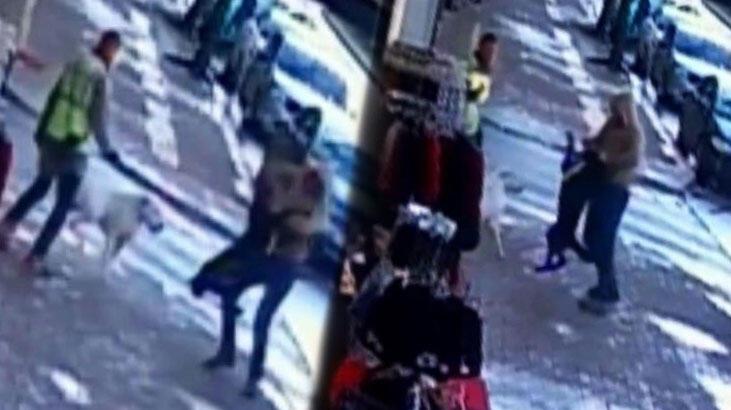 3 kişiyi ısıran köpek bölgeye giden belediye görevlisine de saldırdı