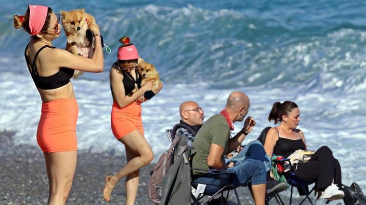 Akın ettiler! Antalya’da şaşırtan anlar