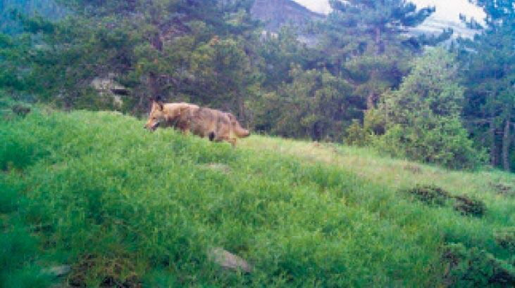 Anadolu’nun geni Nuh’un Gemisi’nde