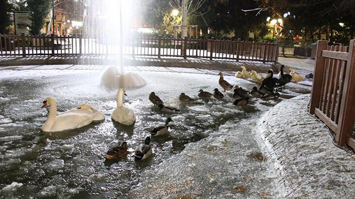 Ankara’da hava sıcaklığı eksi 5 dereceye düştü! Kuğulu Park buz tuttu