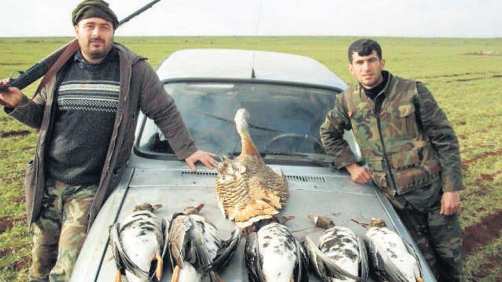 ‘Avladıklarımız türün fazlası’