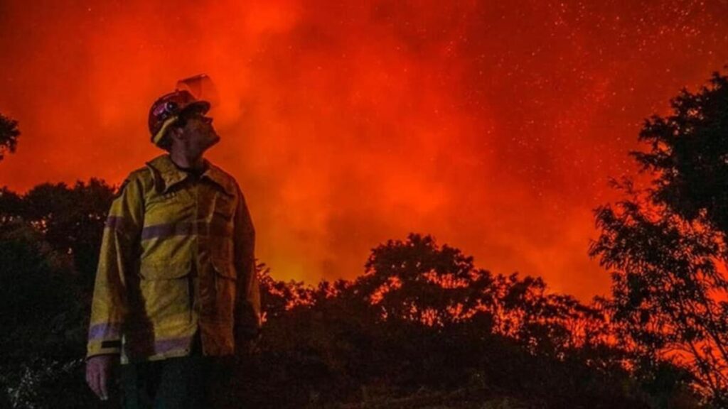 Avustralya orman yangınları… 6 bin hektarlık alan etkilendi