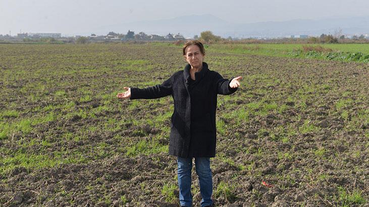 Buğday ekili tarlayı traktörle sürüp zarar verdiler