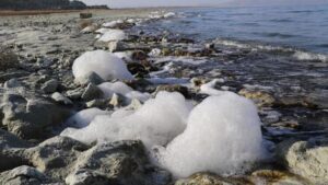 Burdur Gölü’nde tedirgin eden görüntü
