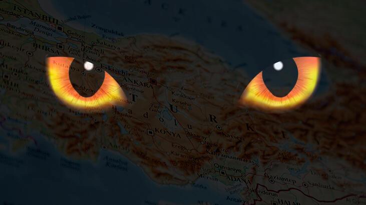 Dağların SAT komandosu! Türkiye’nin en gizemli canlısı Anadolu Parsı yok olmamış…