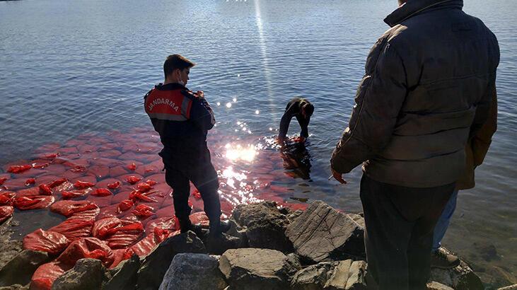 İzmir’de 2 ton canlı beyaz midye ele geçirildi