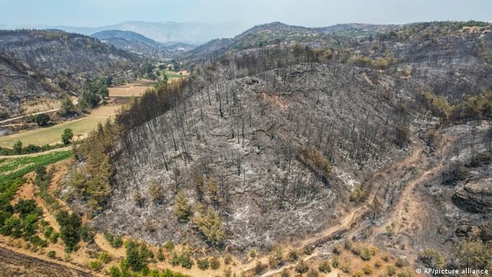 Manavgat’ta ormanı yakmakla suçlanan iki çocuk hâkim karşısına çıktı