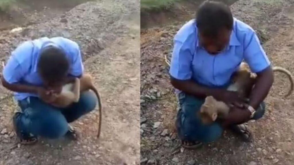 Maymuna suni teneffüs yapıp hayatını kurtardı… Bollywood yıldızı paylaşınca viral oldu