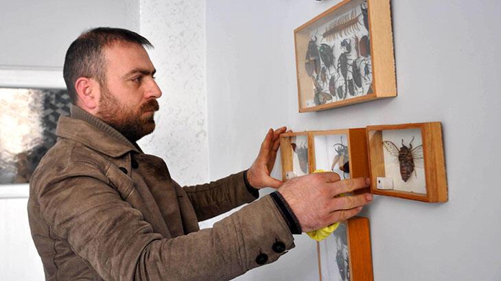 Mumyaladığı böcekleri çerçeve ile duvara astı