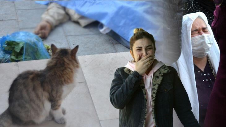 Ölüm alışverişte yakaladı! Sokak kedisi başında bekledi