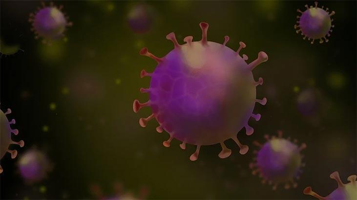 Omicron nasıl ortaya çıktı! Vartantı keşfeden bilim insanı anlattı