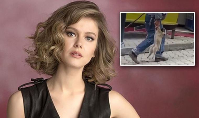 Oyuncu Burcu Biricik: ‘Nereye götürüyorsunuz bu hayvanları?’