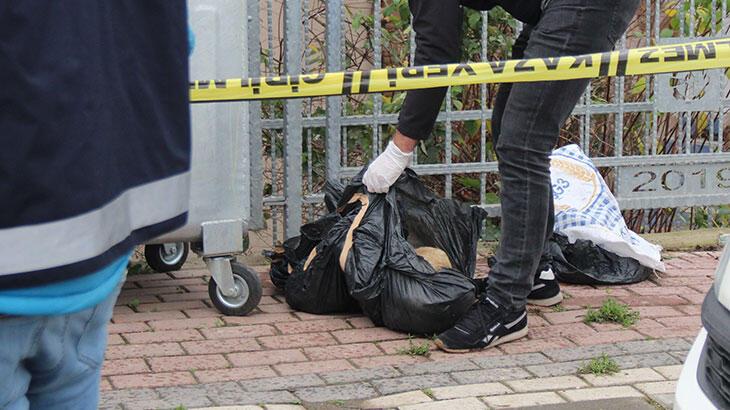 Poşete koyup çöpe attılar! Gören telefona sarıldı