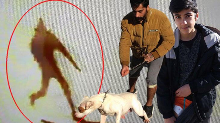 Son dakika… Bir pitbull saldırısı daha! 13 yaşındaki çocuk dehşeti yaşadı