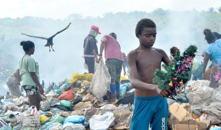 Sosyal medyaya damga vuran kare: Noel ağacı, 12 yaşındaki çocuğa umut ışığı oldu